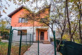 Vila Dobrogeanu